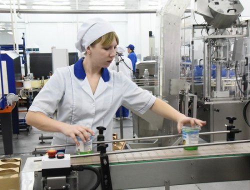 В Новосибирской области заработал новый завод по переработке молока