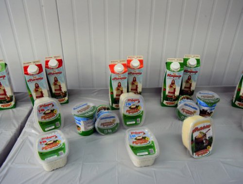 В Новосибирской области заработал новый завод по переработке молока