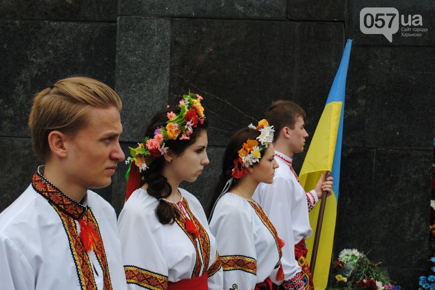 Сколько патриотов на украине на сегодня. Дом в Украине Патриоты.
