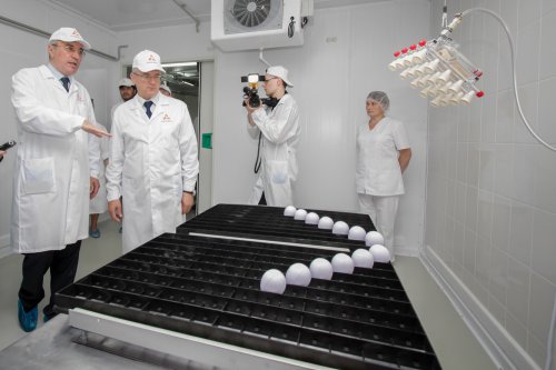 В Пензенской области введен в эксплуатацию инкубаторий мощностью 8 млн яиц в год