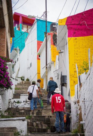 Уличные художники раскрасили целый квартал