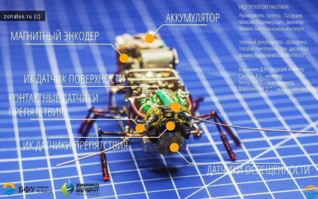 Микротерминатор: российские ученые создали уникального таракана-шпиона 