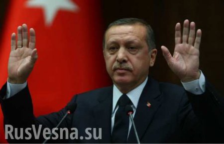 В старейшей партии Турции заявили, что Эрдоган недостоин своего поста