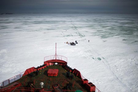 Американские сенаторы: США нуждаются в ледоколе за $1 млрд для противостояния России в Арктике