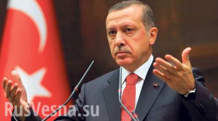 Гражданку Турции осудили на год тюрьмы за оскорбление Эрдогана жестом