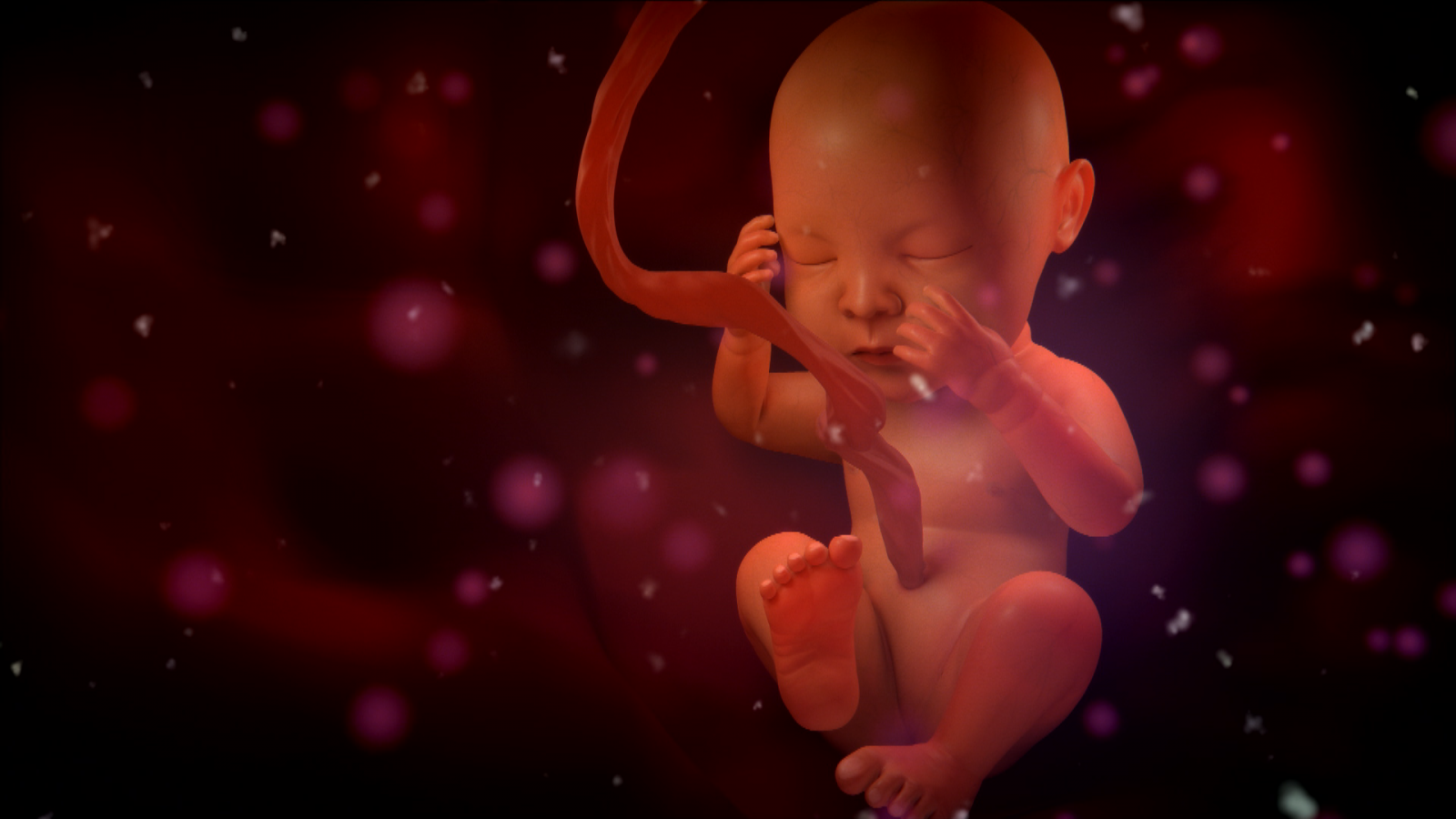 Музыка для малыша в утробе. Внутриутробный младенец.