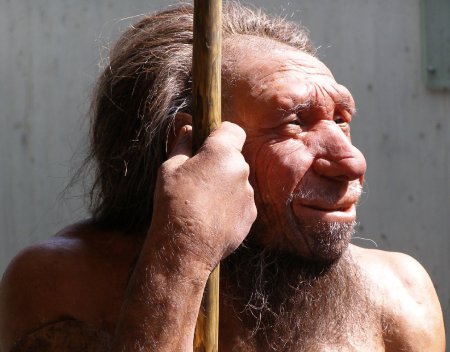 Ученые: Неандертальцы скрещивались с современными людьми 100 тыс лет назад