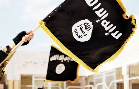 Девушка из Швеции получила условный приговор за желание примкнуть к ИГ
