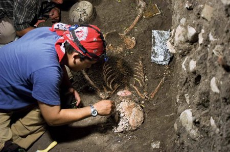 В Германии найдено вертикальное захоронение возрастом 7000 лет