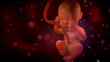 Ученые: Жизнеспособность эмбрионов можно будет проверить на ощупь