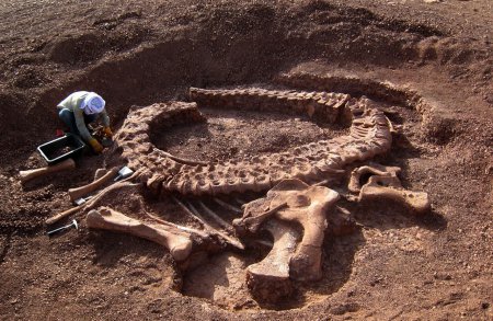 Учёные обнаружили в Аргентине место с большим количеством ископаемых Юрского периода