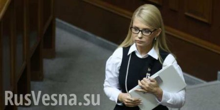 Тимошенко отправила украинских депутатов в Россию