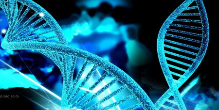 Ученые обнаружили мутации генов, сокращающие жизнь