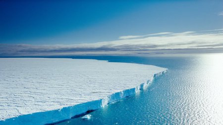 Учёные из РФ и США спасут Арктику от потепления