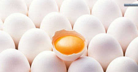 Ученые: Употребление яиц полезно для мужского организма
