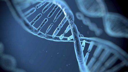 В США ученые на секретном совещании обсудили изменение генома человека