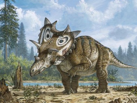 В Монтане любитель обнаружил новый вид рогатого динозавра