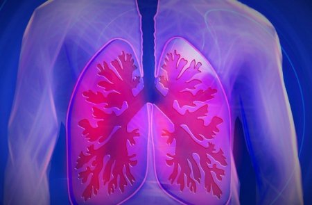 Новое онлайн приложение помогает продлить жизнь больных раком лёгких