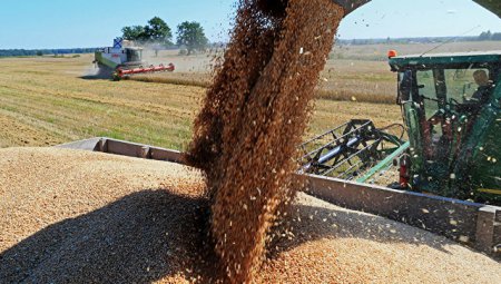 «Bloomberg: Россия заработала на еде больше, чем на оружии» Сельское хозяйство