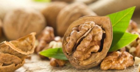 Ученые: Грецкие орехи помогут замедлить старение