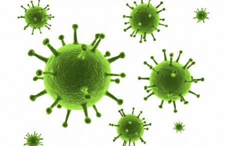Ученые: ВПЧ-инфекция может увеличить риск развития рака влагалища