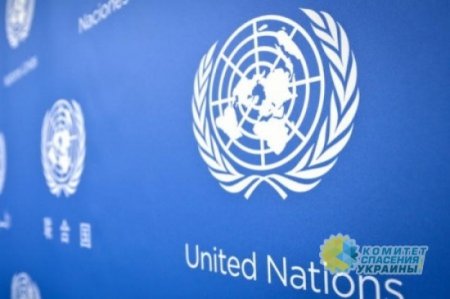 Эксперты ООН не обнаружили на Донбассе террористов