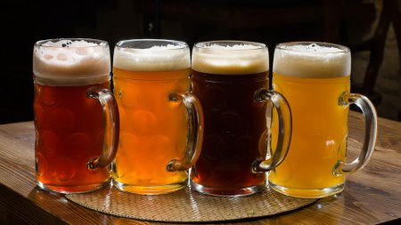 Ученые научились превращать мочу в пиво