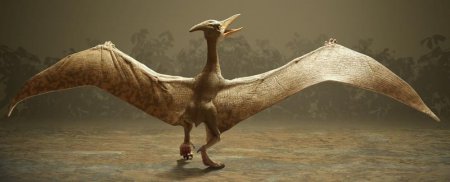 Учёными обнаружен неизвестный вид птерозавров