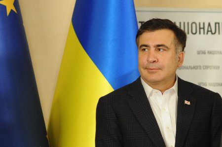 Саакашвили хочет скорейшего проведения досрочных парламентских выборов