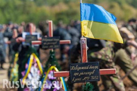 В Минобороны Украины рассказали о потерях ВСУ на Донбассе