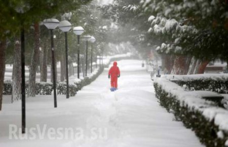 На Турцию обрушились сильные снегопады, Стамбул парализован (ФОТО)