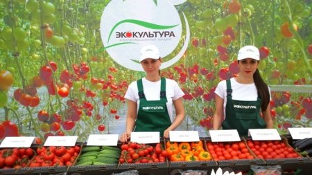 «На Ставрополье открыта третья очередь крупного тепличного комплекса» Новые и модернизированные предприятия агропрома