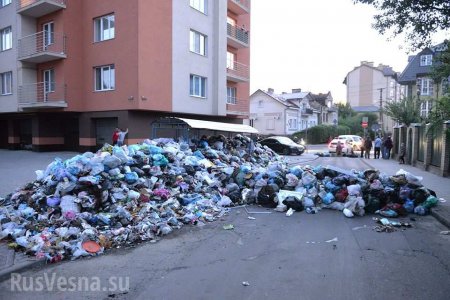 Это Путин виноват: В Раде нашли ответственного за «мусорный апокалипсис» во Львове