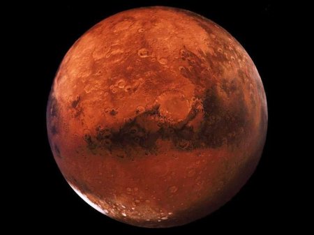 На Марсе в кратере обнаружены останки животного