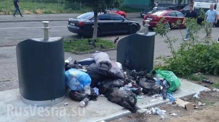 «Умные» урны в Киеве завалили мусором (ФОТО)