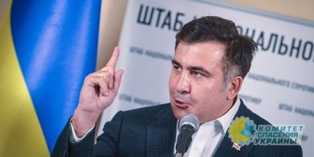 Николай Азаров: Ситуация с Саакашвили показывает двойные стандарты киевского режима