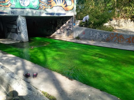 В Киеве вандалы сыплют краску в реки и фонтаны (ФОТО, ВИДЕО)