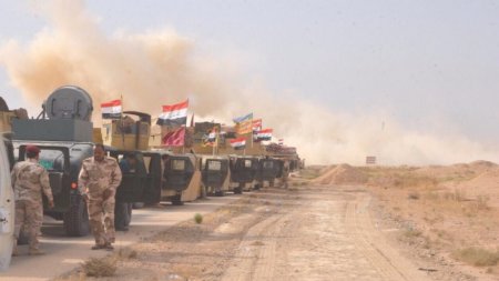 Иракская армия освобождает новые территории в провинции Анбар