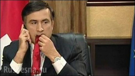 Саакашвили попросил убежища в Украине