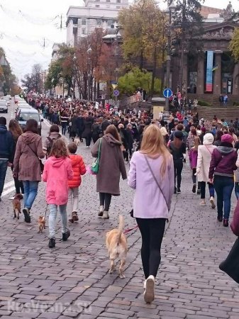 Марш за право быть животным: что вывело киевлян на улицы после факельного шествия неонацистов? (ФОТО 18+)