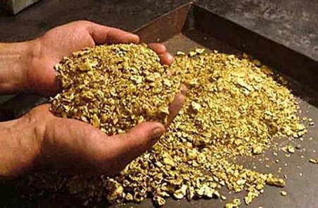 Китайцам разрешили добывать золото в России! Распродают Сибирь!