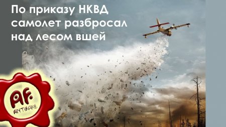 По приказу НКВД самолет разбросал над лесом вшей, зараженных тифом