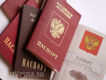 Названы сроки возможной отмены паспортов в России