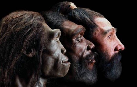 Учёные опровергли теорию происхождения человека