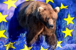 Европейский медведь бежит в Россию