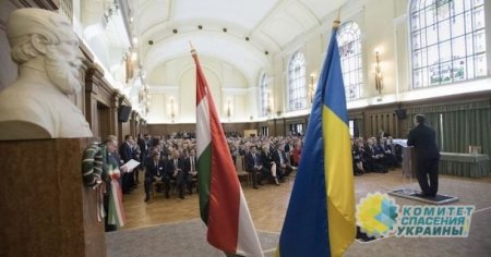 Венгры Закарпатья опровергли заявления украинских властей о договоренностях по языку