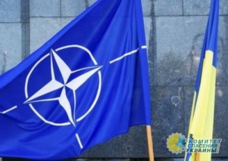 Из украинского бюджета выделят деньги на агитацию за вступление в НАТО