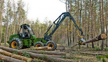 Карельский лес и белорусская техника: проект на 18 млрд рублей