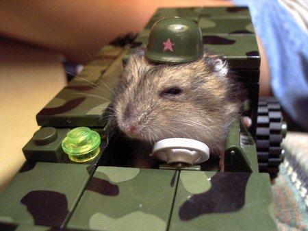 Вооруженная мышь в конструкторском бюро