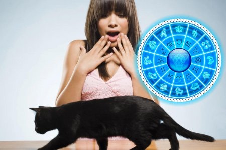Боятся даже кошек: Самые суеверные знаки зодиака по версии астрологов